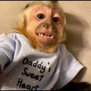 Meet your Posher, Nour